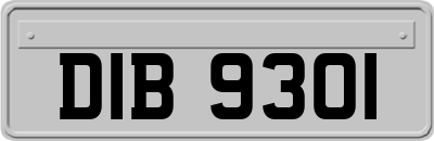 DIB9301