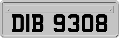 DIB9308