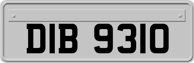 DIB9310