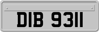 DIB9311