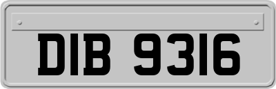 DIB9316