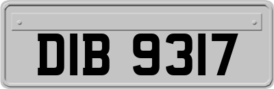 DIB9317