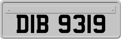 DIB9319