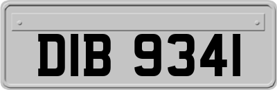 DIB9341