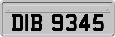 DIB9345
