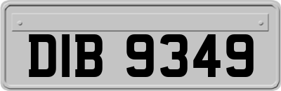 DIB9349