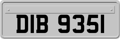 DIB9351