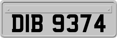 DIB9374