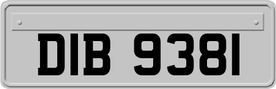 DIB9381