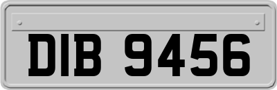 DIB9456