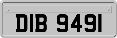 DIB9491