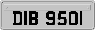 DIB9501