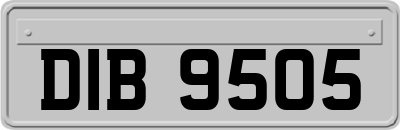 DIB9505