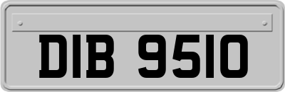 DIB9510