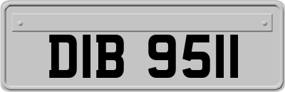 DIB9511
