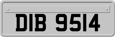 DIB9514