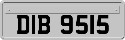 DIB9515