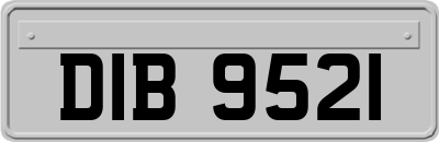 DIB9521