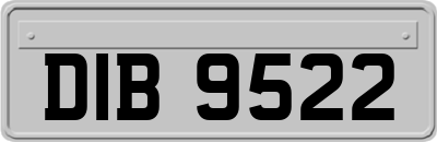 DIB9522