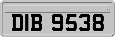 DIB9538