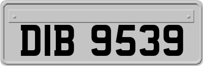 DIB9539