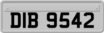 DIB9542