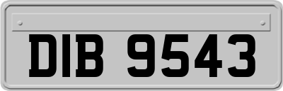 DIB9543