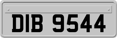 DIB9544