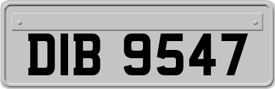 DIB9547