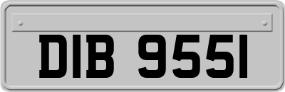 DIB9551