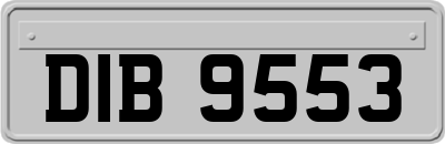 DIB9553