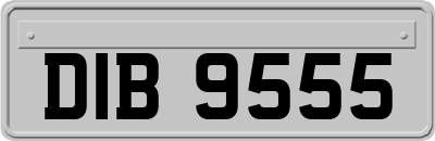 DIB9555