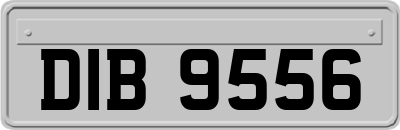 DIB9556