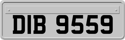 DIB9559