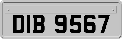 DIB9567