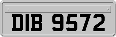 DIB9572