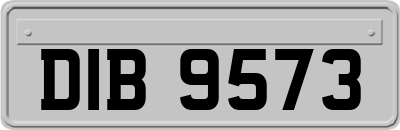 DIB9573