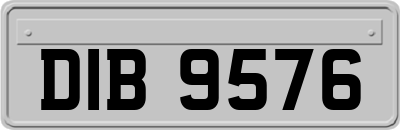DIB9576