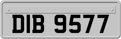 DIB9577