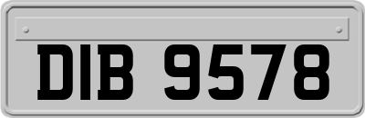 DIB9578