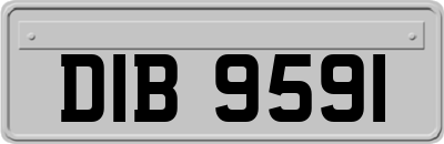 DIB9591