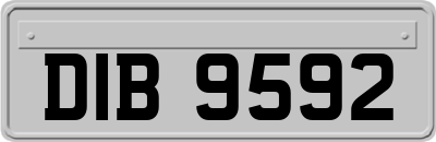 DIB9592
