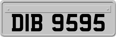 DIB9595