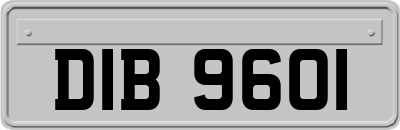 DIB9601