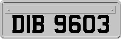DIB9603