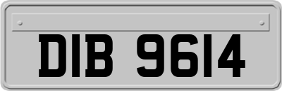 DIB9614
