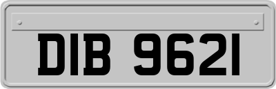 DIB9621
