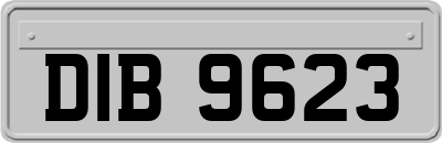 DIB9623