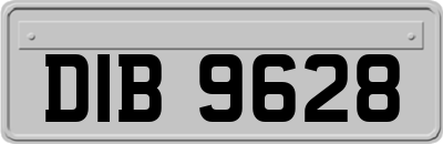 DIB9628