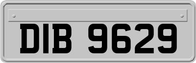 DIB9629